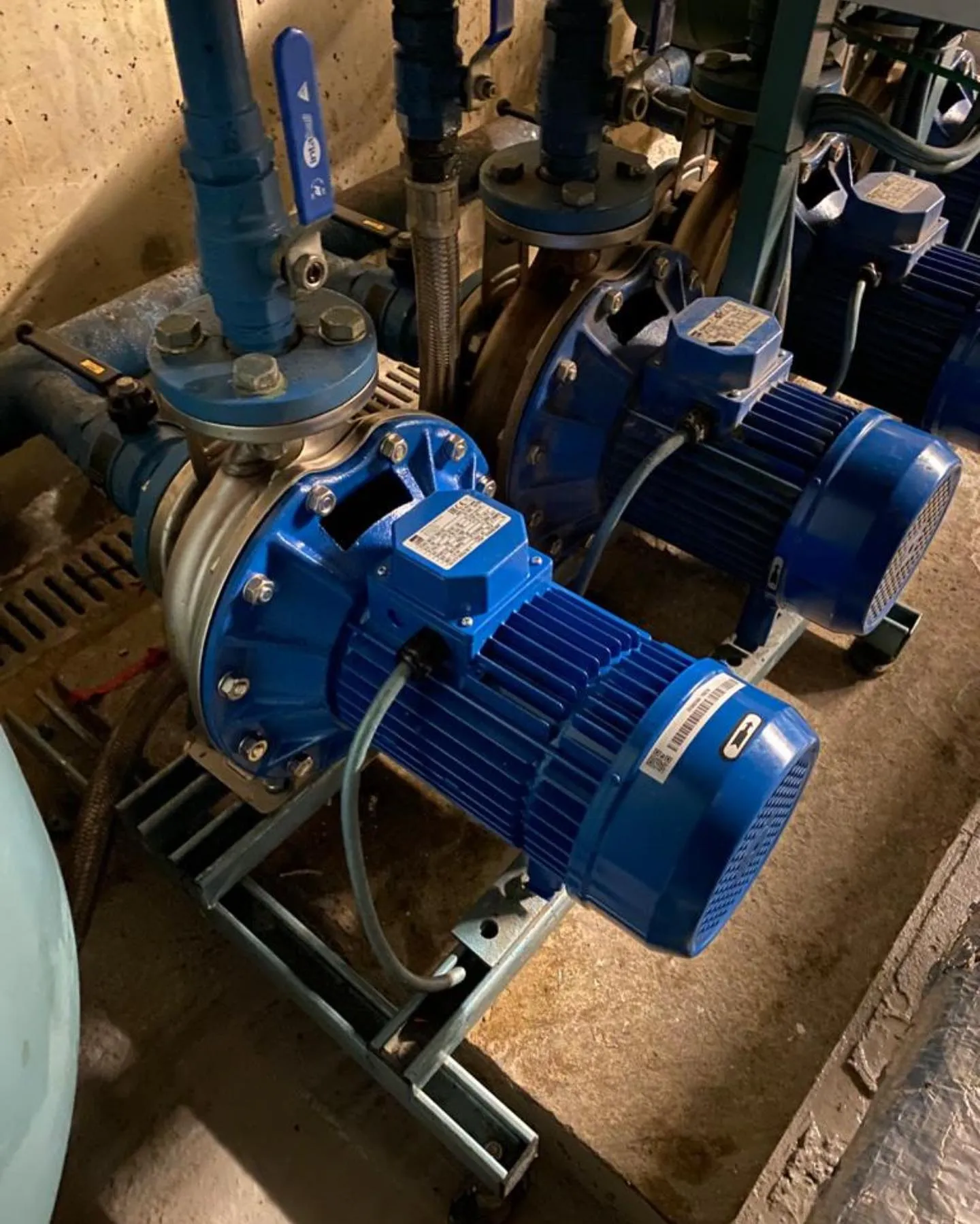 A couple of blue pumps sitting inside of a building.